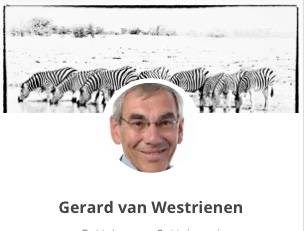 Gerard van Westrienen