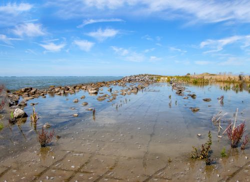 Ria van der Ham Marker Wadden