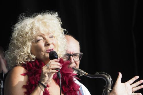 Stefan van der Steen